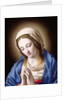 The Madonna Praying by Il Sassoferrato