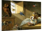 A Family of Owls, other Birds and a Cat by Jan van the Elder Kessel