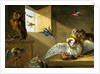 A Family of Owls, other Birds and a Cat by Jan van the Elder Kessel