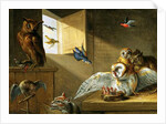 A Family of Owls, other Birds and a Cat by Jan van the Elder Kessel