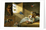 A Family of Owls, other Birds and a Cat by Jan van the Elder Kessel