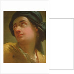 Study of the head of a youth by Ubaldo Gandolfi