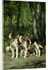 A Pack of Hounds by Charles Oliver de Penne