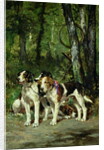 A Pack of Hounds by Charles Oliver de Penne