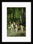 A Pack of Hounds by Charles Oliver de Penne