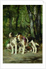 A Pack of Hounds by Charles Oliver de Penne