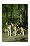 A Pack of Hounds by Charles Oliver de Penne