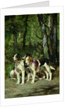 A Pack of Hounds by Charles Oliver de Penne