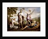 Publius Scipio Africanus by David the Younger Teniers