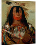 Stu-mick-o-súcks, Buffalo Bull's Back Fat, Head Chief, Blood Tribe, 1832 by George Catlin