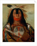 Stu-mick-o-súcks, Buffalo Bull's Back Fat, Head Chief, Blood Tribe, 1832 by George Catlin