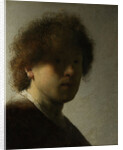 Self Portrait as a Young Man, c.1628 by Rembrandt Harmensz. van Rijn