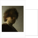 Self Portrait as a Young Man, c.1628 by Rembrandt Harmensz. van Rijn