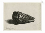 The Shell, 1650 by Rembrandt Harmensz. van Rijn