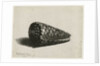 The Shell, 1650 by Rembrandt Harmensz. van Rijn