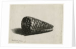 The Shell, 1650 by Rembrandt Harmensz. van Rijn