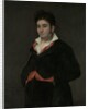 Portrait of Don Ramon Satue, 1823 by Francisco Jose de Goya y Lucientes