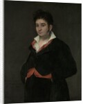 Portrait of Don Ramon Satue, 1823 by Francisco Jose de Goya y Lucientes