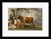 The Bull, 1647 by Paulus Potter