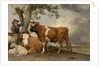 The Bull, 1647 by Paulus Potter
