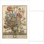 March by Pieter (after) Casteels