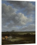 View of Haarlem from the Northwest with the Bleaching Fields in the Foreground, c.1650-82 by Jacob Isaaksz. or Isaacksz. van Ruisdael