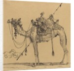 The Camel by Rodolphe Bresdin