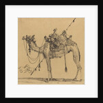The Camel by Rodolphe Bresdin