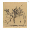 The Camel by Rodolphe Bresdin