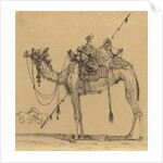 The Camel by Rodolphe Bresdin