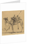 The Camel by Rodolphe Bresdin
