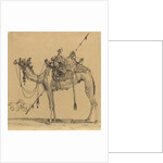 The Camel by Rodolphe Bresdin