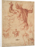 Studies for the Libyan Sibyl, c.1510-11 by Michelangelo Buonarroti
