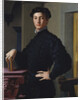 Portrait of a Young Man, c.1530 by Agnolo di Cosimo Bronzino