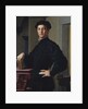 Portrait of a Young Man, c.1530 by Agnolo di Cosimo Bronzino