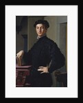 Portrait of a Young Man, c.1530 by Agnolo di Cosimo Bronzino