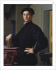Portrait of a Young Man, c.1530 by Agnolo di Cosimo Bronzino
