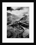 Rice terraces carved out of the hillsides hundreds of years ago by Ifuago farmers, Philippine Islands, c.1890-1923 by Anonymous