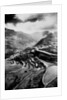 Rice terraces carved out of the hillsides hundreds of years ago by Ifuago farmers, Philippine Islands, c.1890-1923 by Anonymous