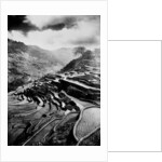 Rice terraces carved out of the hillsides hundreds of years ago by Ifuago farmers, Philippine Islands, c.1890-1923 by Anonymous