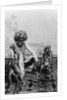 India, Fakir with monkeys, c.1890-1925 by Anonymous
