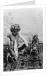 India, Fakir with monkeys, c.1890-1925 by Anonymous
