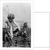 India, Fakir with monkeys, c.1890-1925 by Anonymous
