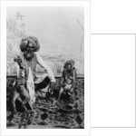 India, Fakir with monkeys, c.1890-1925 by Anonymous