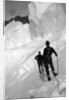 Climbing Mt. McKinley, c.1900-23 by Anonymous