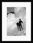 Climbing Mt. McKinley, c.1900-23 by Anonymous