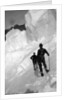 Climbing Mt. McKinley, c.1900-23 by Anonymous