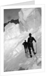 Climbing Mt. McKinley, c.1900-23 by Anonymous
