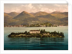 Isola Madre, Lake Maggiore, Italy, c.1890-c.1900 by Anonymous