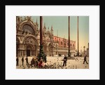 Pigeons in St. Mark's Place, Venice, Italy, c.1890-c.1900 by Anonymous